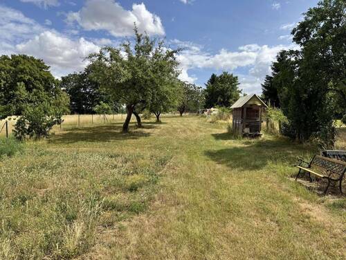 Garten - 5 Zimmer Einfamilienhaus zum Kaufen in Belgern-Schildau OT Bockwitz