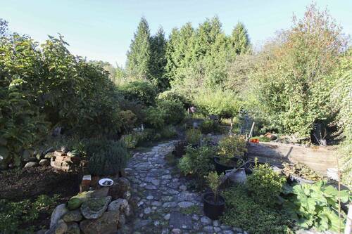 Garten (4) - 