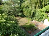 Blick vom Balkon in den Garten - 