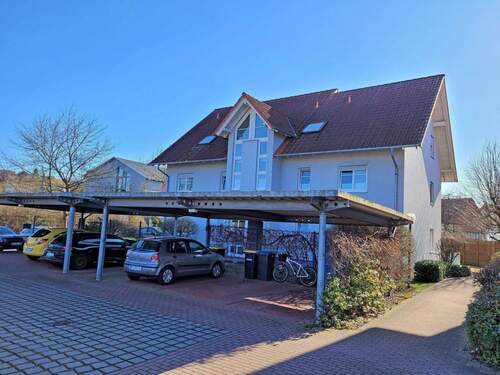 20260305_143901.jpg - 