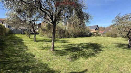 Garten - 