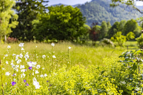 Impression - Grundstück in Fischbachau / Aurach
