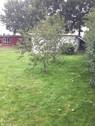 8003307C-0C54-4A2D-B07E-554168D1B551.jpeg - Mehrfamilienhaus, Wohnhaus mit 96,20 m² in Parchtitz zum Kaufen