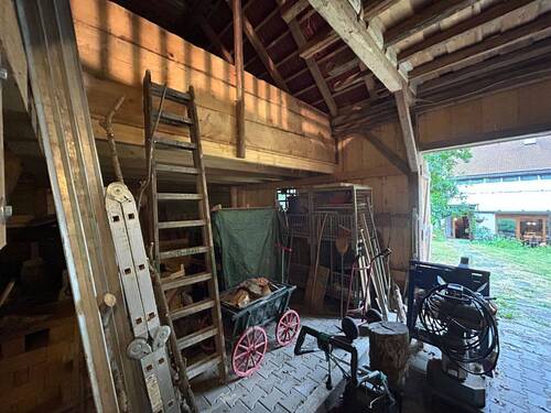 Schuppen - 