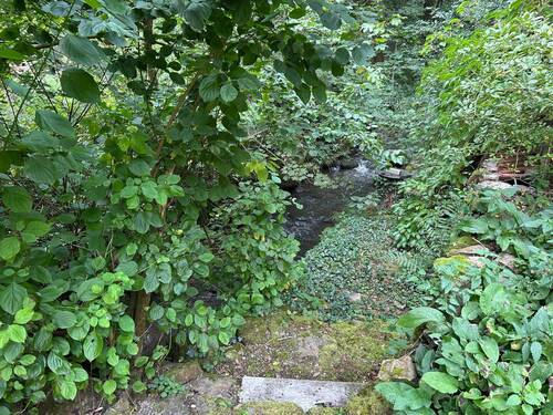 Bachlauf - 