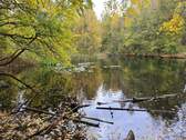 Bild 11 - 