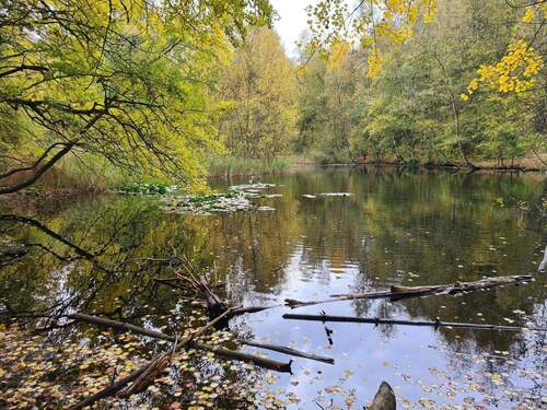 Bild 11 - 