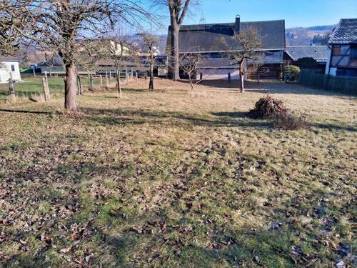 Blick in den Garten - 