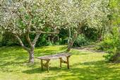 Garten - 