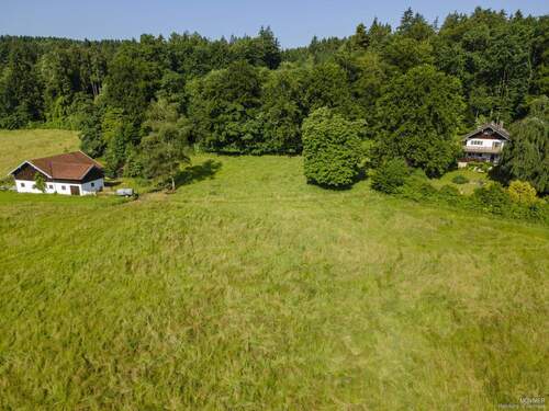 Stallung und der Waldhof - 