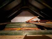 Dachspitz - 