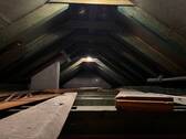 Dachspitz - 