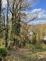 Blick nach Westen (2) - 