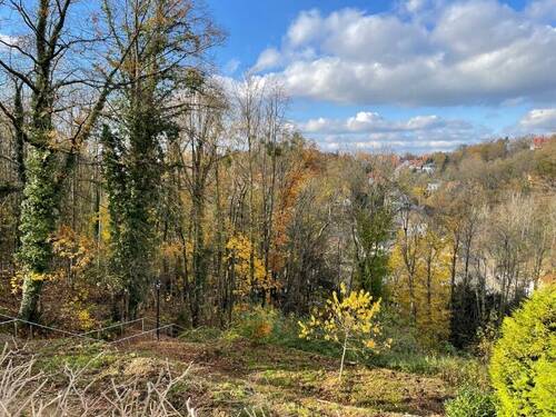 Blick nach Westen (4) - 