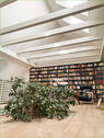 Offene Balkenlage - 