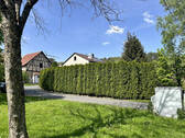 Bild13 - 