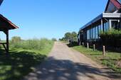 Umgebung-Feldweg - 