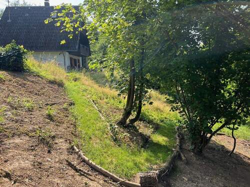 Weg durchs Grundstück - Mehrfamilienhaus, Wohnhaus mit 90,00 m&sup2; in Bad Soden zur Miete