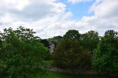 Aussicht ins Grün - 