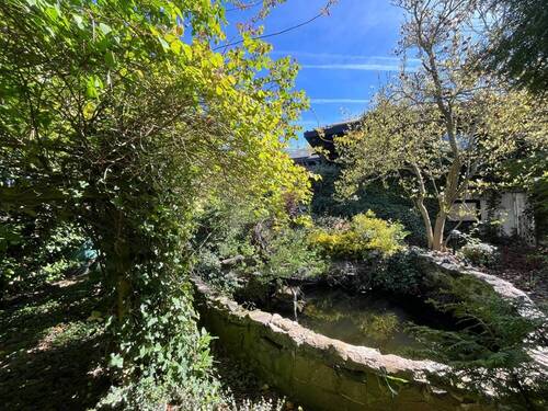Gartenanlage - 