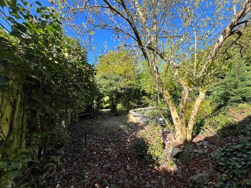 Garten - 