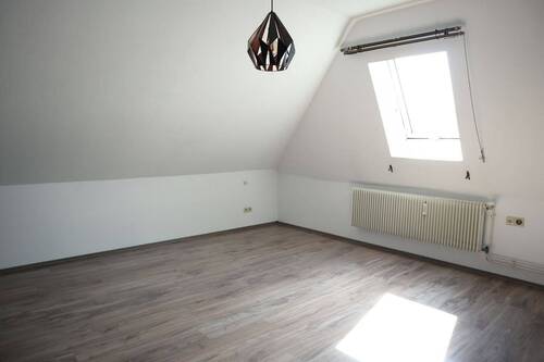 Zimmer DG - 