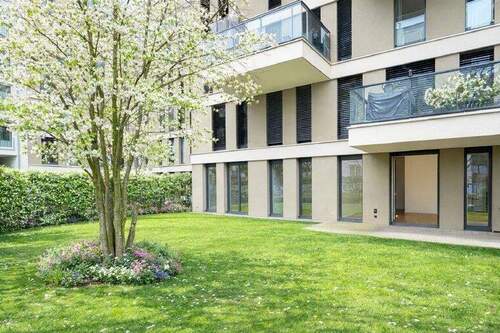 Garten mit Terrasse - Ausblick in den Frühling - 