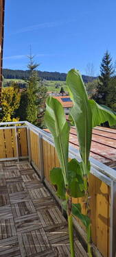 Blick vom Balkon - 