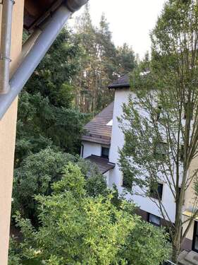 Bild5 - 