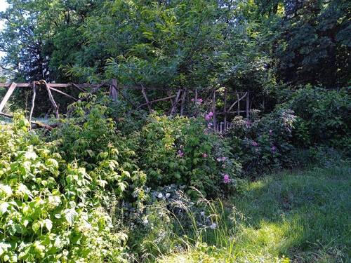 Garten - 