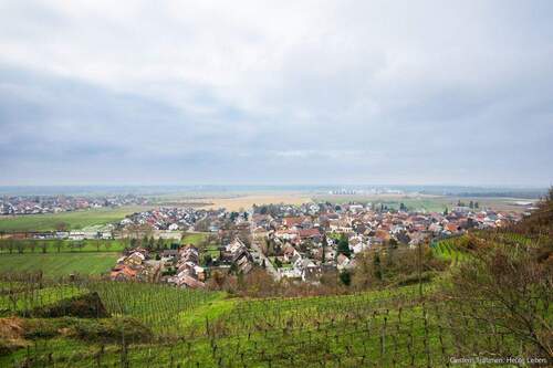 Niederrimsingen - 