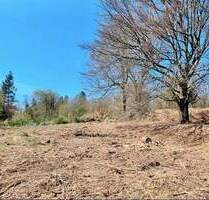 Baugrundstück mit einer Fläche von 1.458 m² in Trippstadt