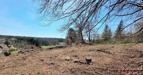 Bild 2 - Grundstück zum Kaufen in Trippstadt
