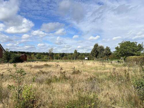 Bild 3 - Grundstück in Reinbek