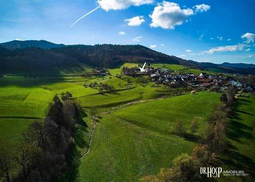 Blick von Osten - der Wald ist nahe - 