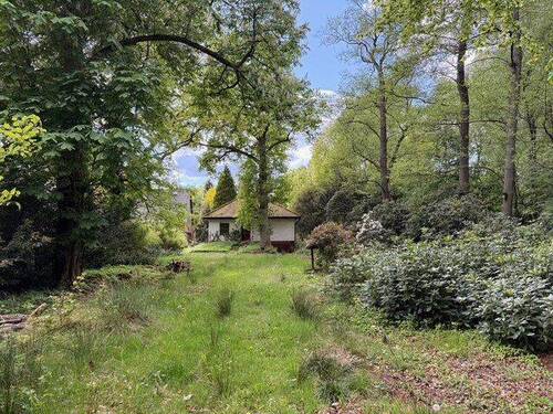 Ansicht - 2.002 m² großer Bauplatz in absolut ruhiger Lage - direkt am Wald! - gesamt oder geteilt -