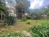 Gartenanlage_Bild_2 - 