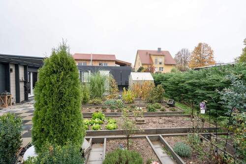 Gemüsegarten - 