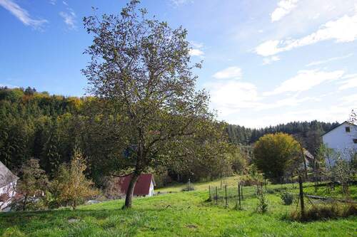 Bild 3 - 3 Zimmer Mehrfamilienhaus, Wohnhaus in Herdwangen-Schönach
