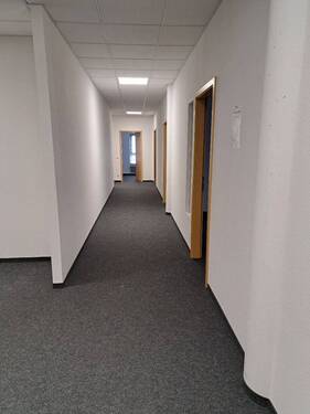 20230424_141341_resized.jpg - 
