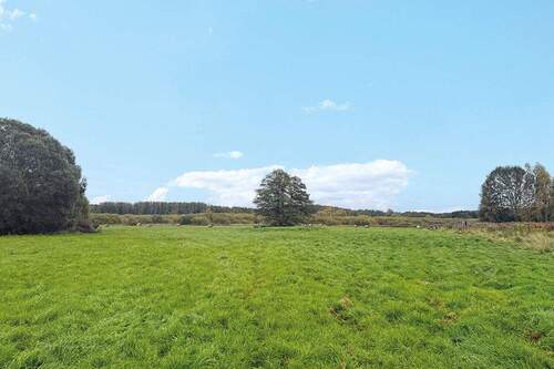 Blick aufs Grundstück - 