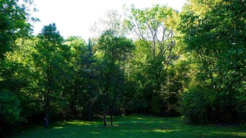 Im unteren Teil gehört noch eine kleine Waldfläche zum Grundstück - 