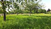 Gartenland Nordblick II - Grundstück zum Kaufen in München