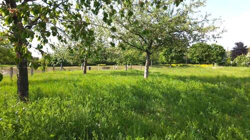 Gartenland Nordblick II - Grundstück zum Kaufen in München