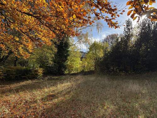 Grundstück - Grundstück zum Kaufen in Roetgen