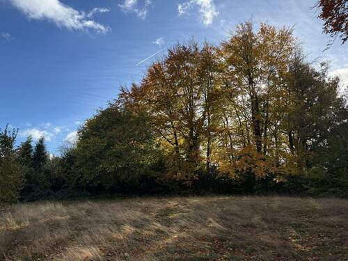 Grundstück - Grundstück in Roetgen zum Kaufen
