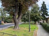 Anwohnerstraße - 