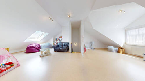 DG_Studio - 