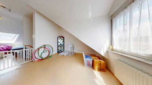 DG_Studio - 