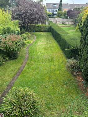Blick in den Garten - 